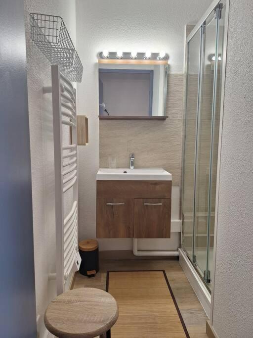 Studio Renove - Pied Des Pistes - Prapoutel - Les 7 Laux Les Adrets Eksteriør billede
